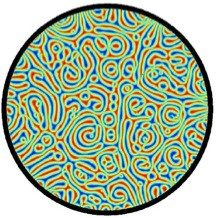 Numerical simulation of the spiral defect chaos state of Rayleigh-Benard convection in a large cylindrical domain